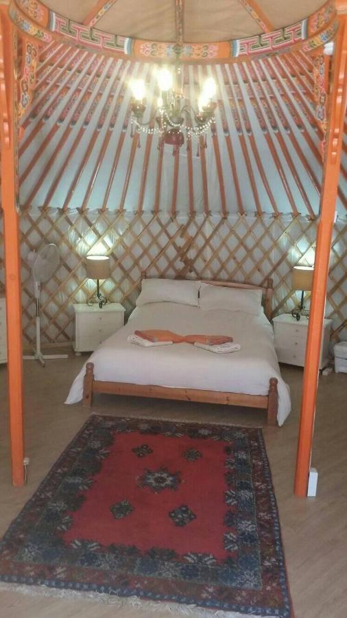 Eldorado Yurt Hotel Algarrobo Ngoại thất bức ảnh
