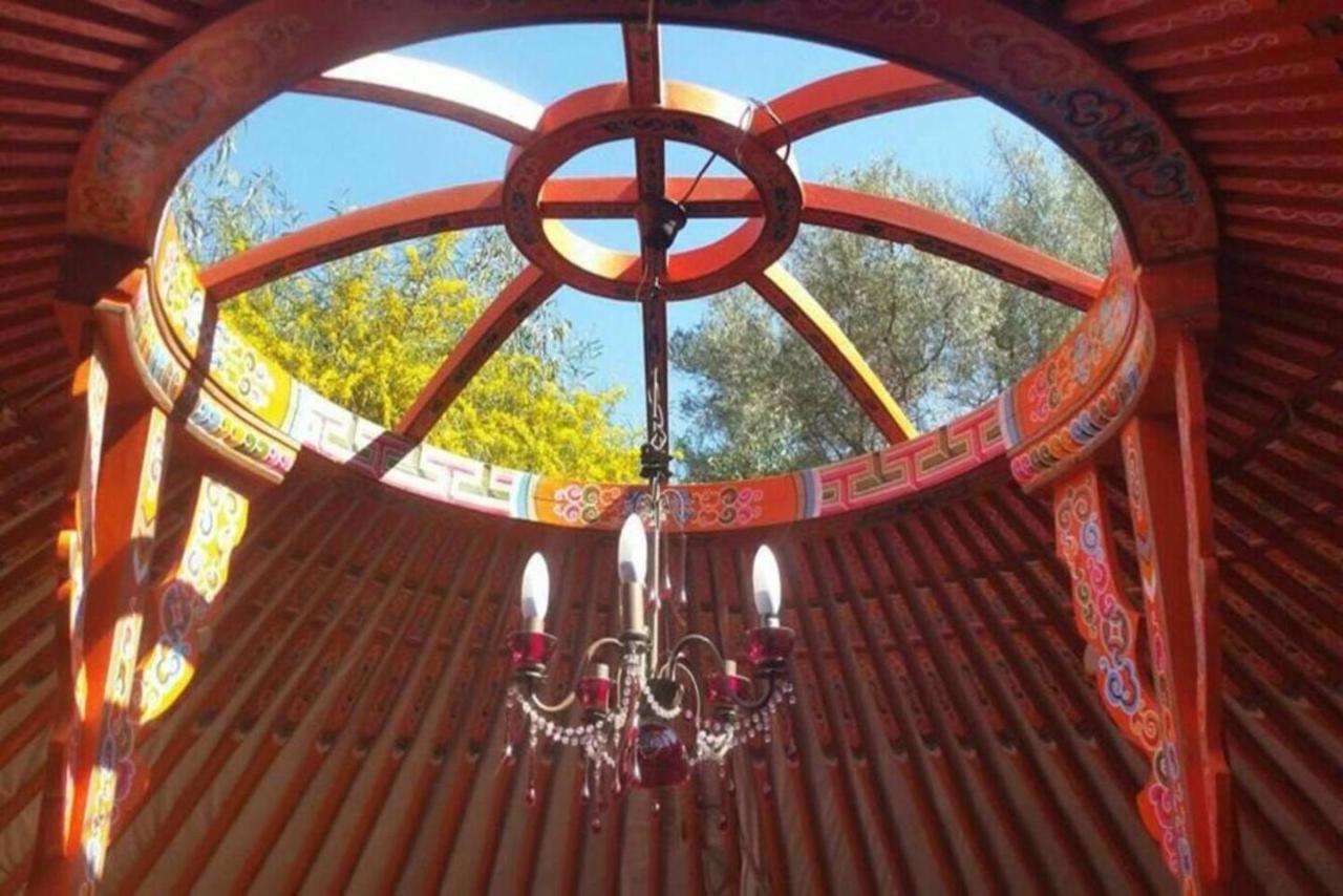 Eldorado Yurt Hotel Algarrobo Ngoại thất bức ảnh